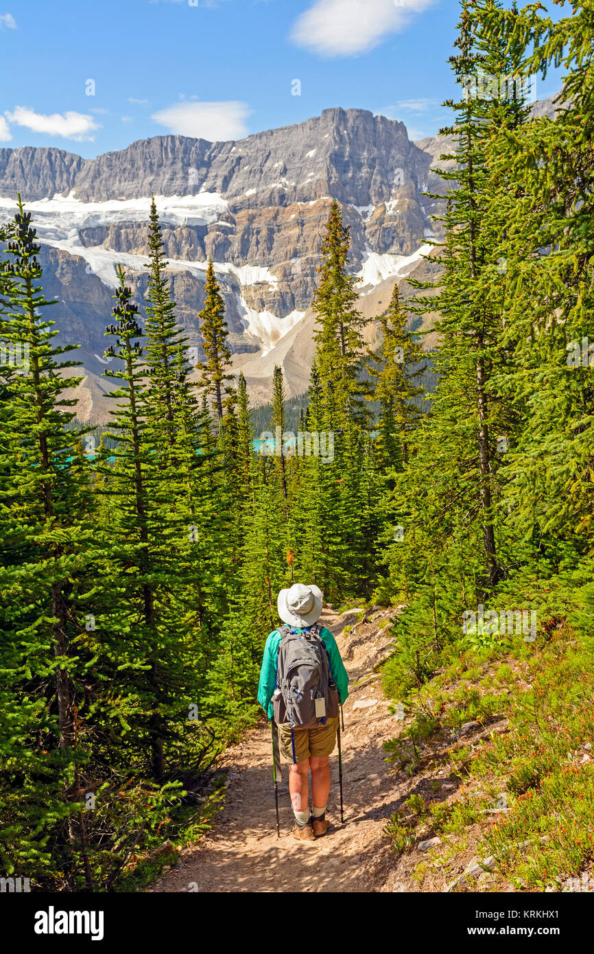 Hiker on the Helen Lake Trail Banff National Park Stock Photo - Alamy