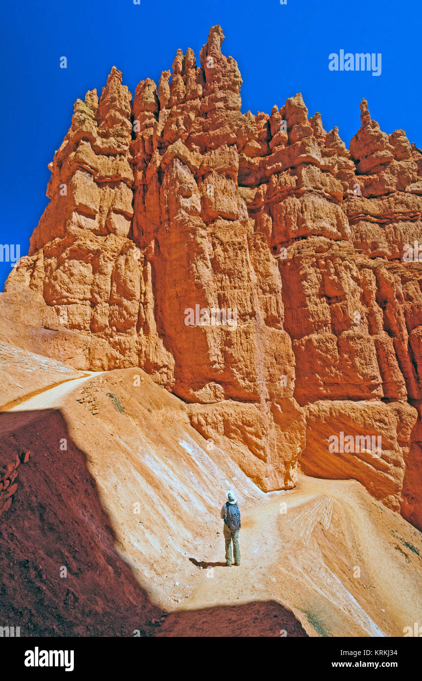 Woman hiking on navajo loop trail hi-res stock photography and images ...