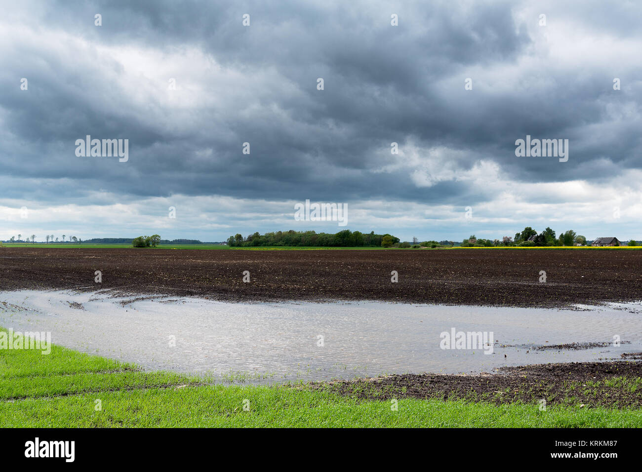 Wet field after heavy rain Stock Photo Alamy