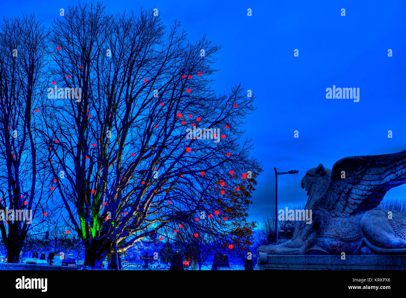 Geneva, switzerland Winter festival of lights Trees and Lights