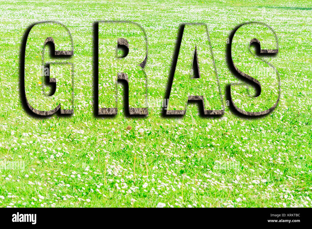 Grass Font Stock Photos & Grass Font Stock Images - Alamy