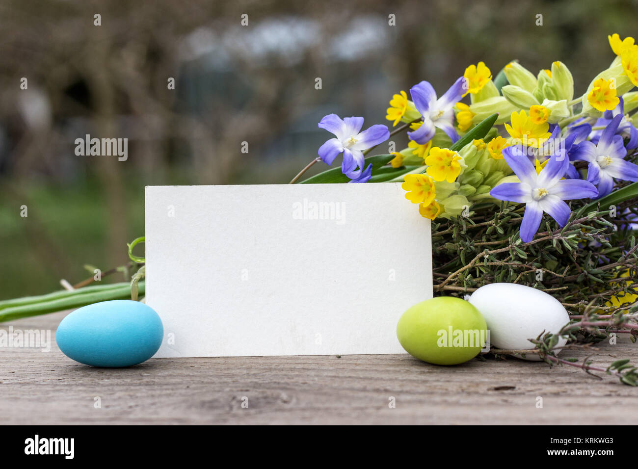 Spring flowers with Easter eggs and card Stock Photo - Alamy