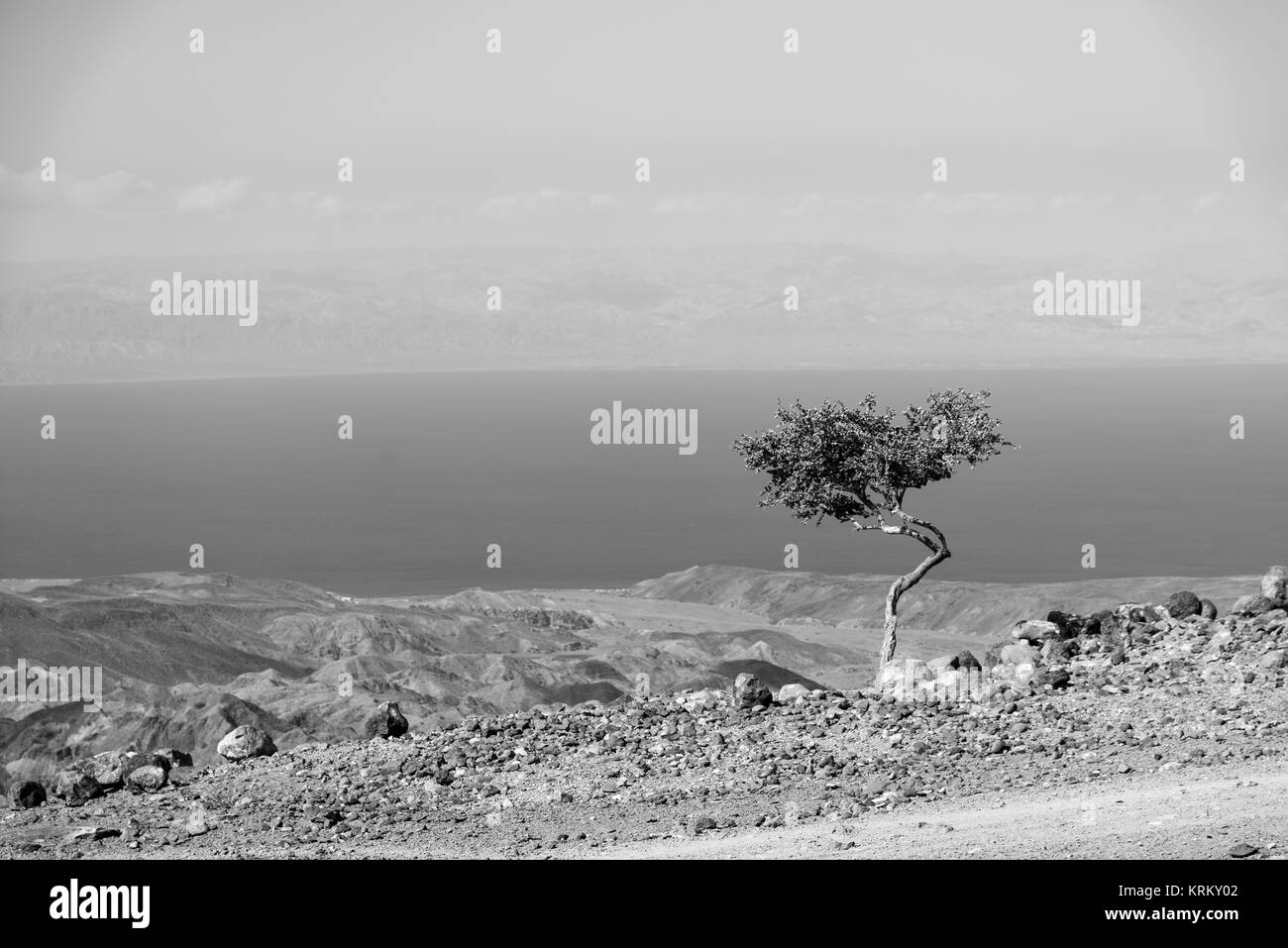 A view of the Gulf of Tadjoura from Arta, Djibouti, East Africa in Black and White Stock Photo