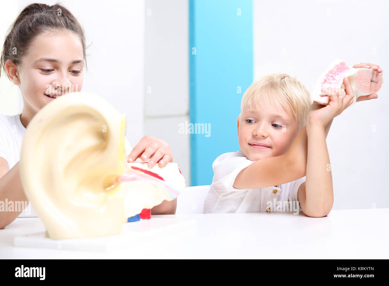 Dzieci oglÄ…dajÄ… model ludzkiego ucha. Stock Photo