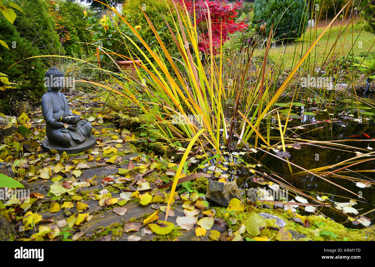 bunter Herbst im Garten an einem Teich mit einem Buddha Stock Photo Alamy