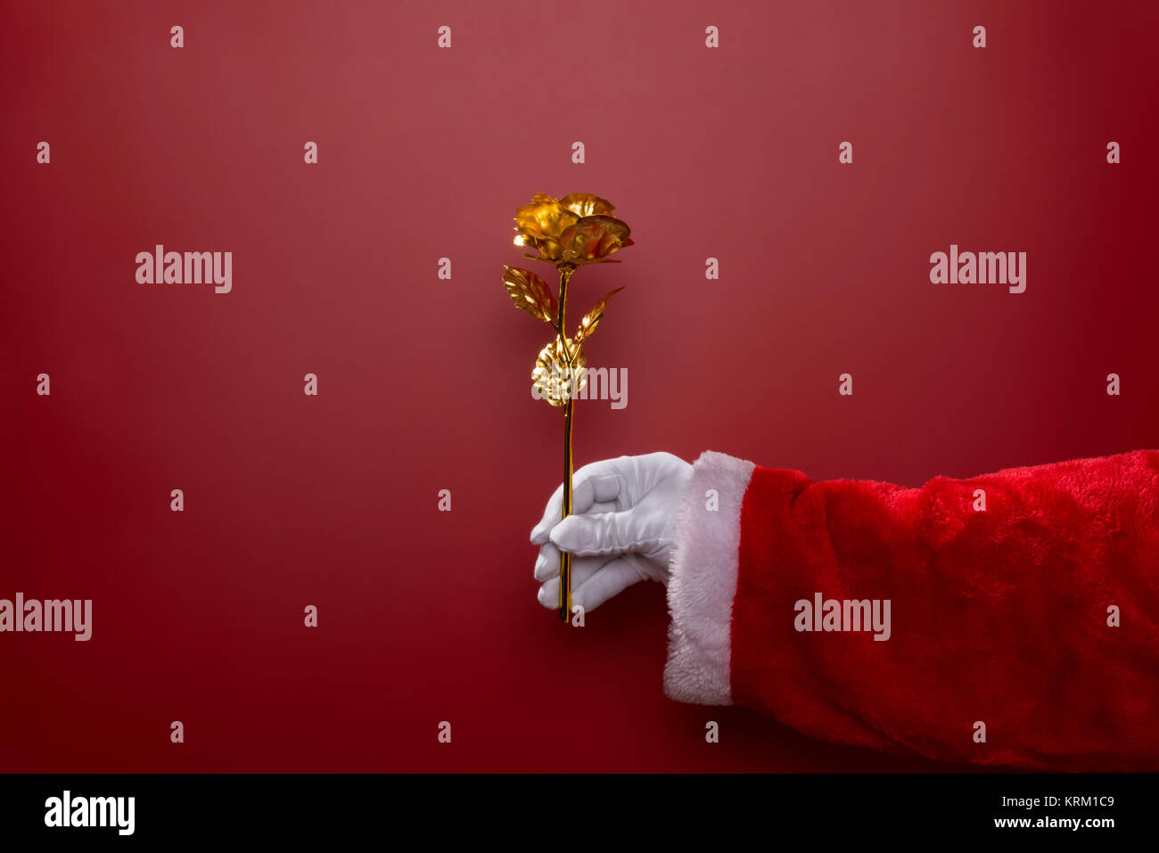 Santa With Roses Rose gold festive flower hi-res stock photography and images - Alamy