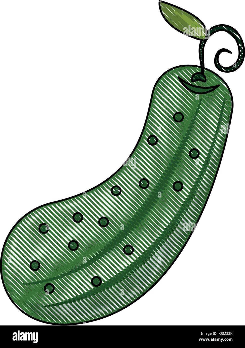 Pickle vegetable isolated Stock Vector Image & Art - Alamy