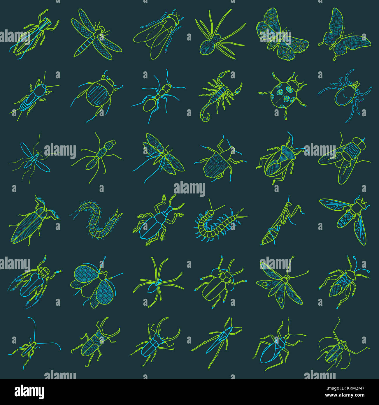 Various Insect Outlines Butterfly Drawing High Resolution Stock Photography and Images - Alamy