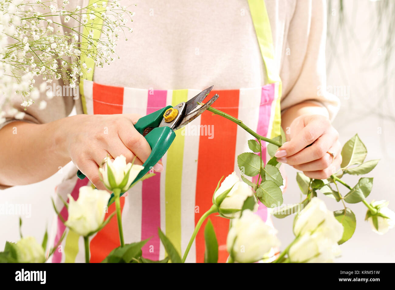 cutting the flower stems Stock Photo