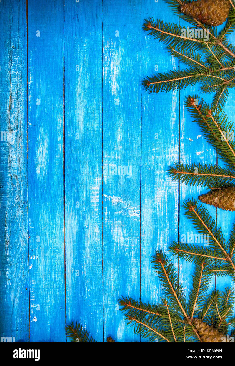 Christmas blue wooden background with branches of spruce Stock Photo