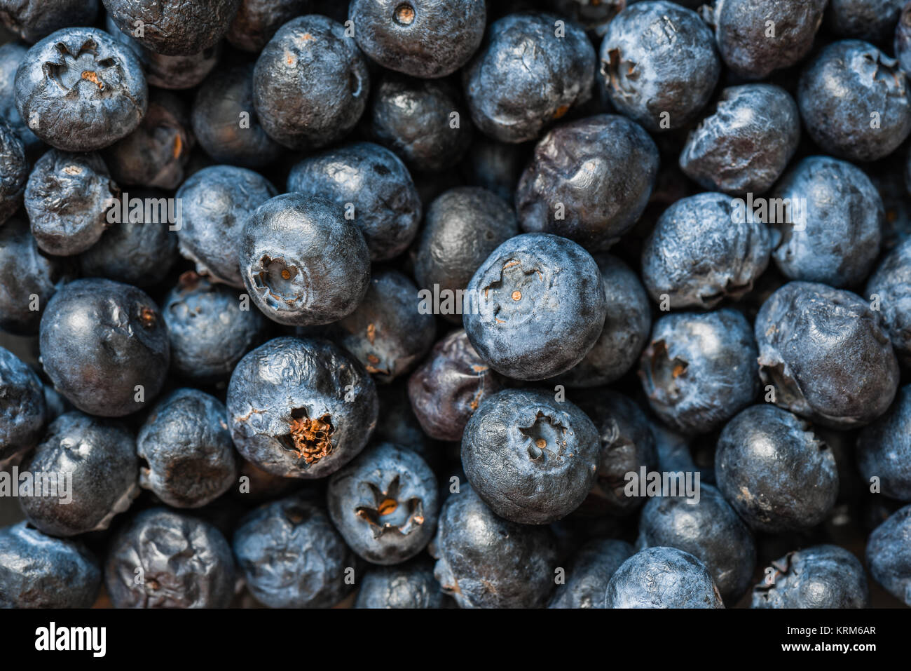 Really Ripe Blueberries Ripe Blueberries Close Up background Stock Photo - Alamy