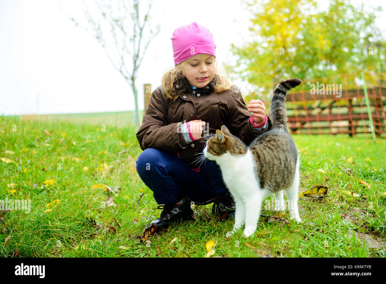 little girl playing with cat in front of nature background Stock Photo ...
