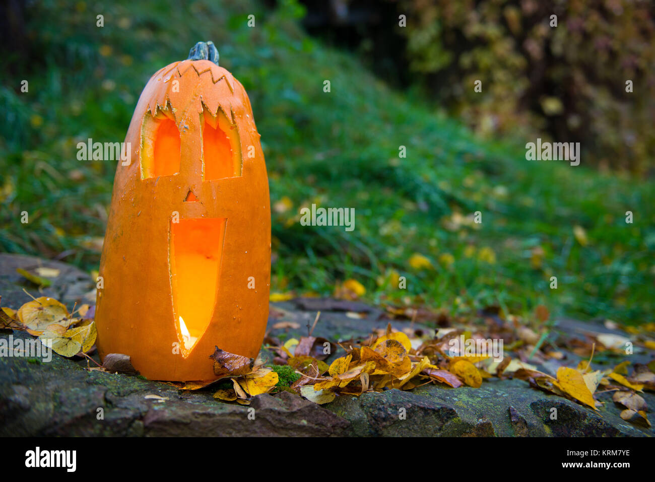 long halloween pumpkin in front of nature background Stock Photo - Alamy