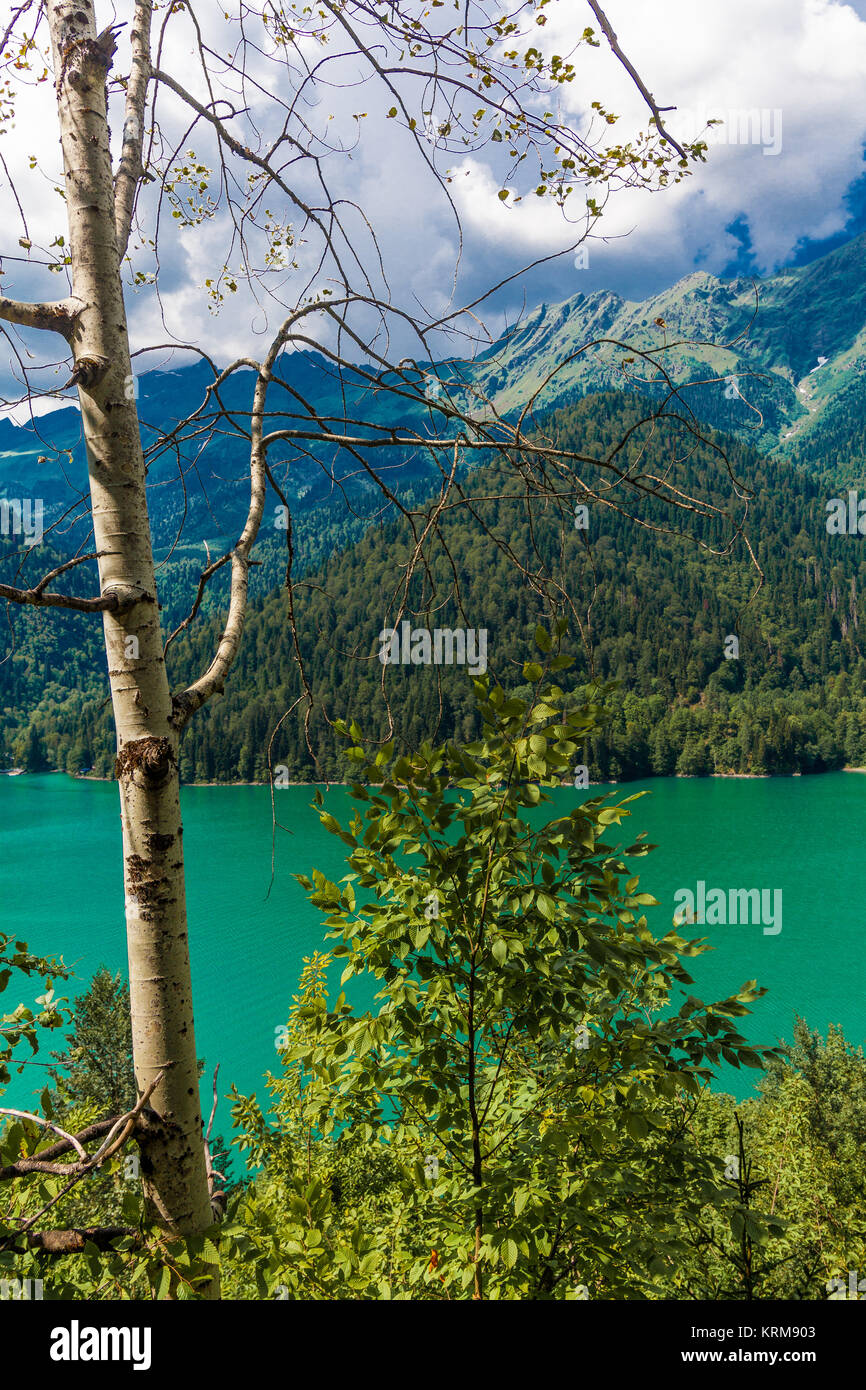 Beautiful landscape with lake, forest and mountains Stock Photo - Alamy