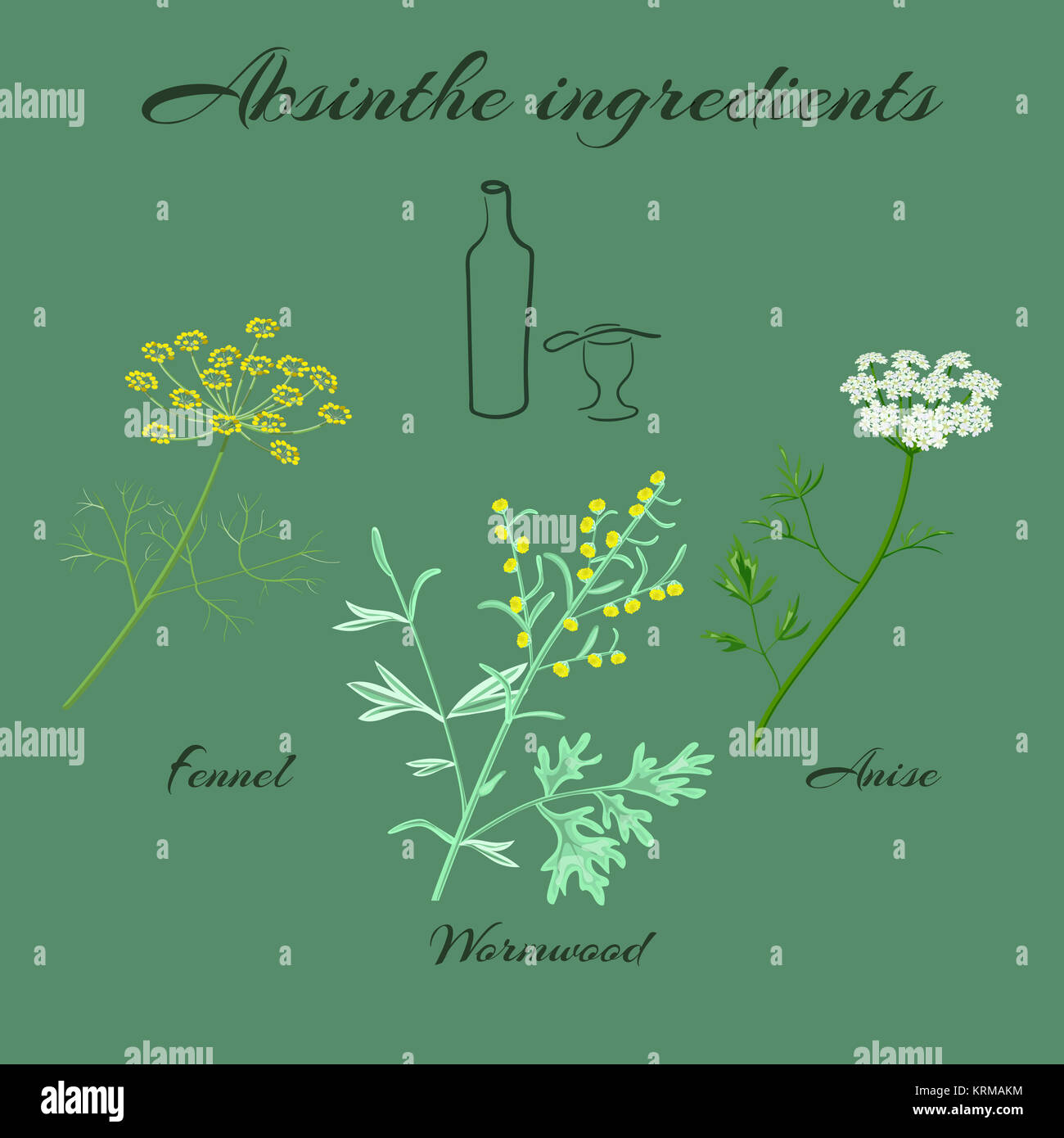 Herbs absinthe ingredients. Stock Photo