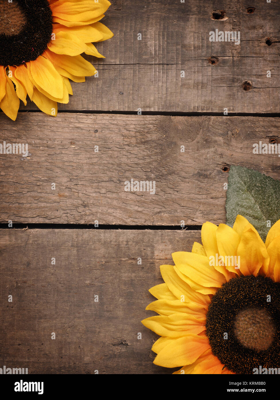 Rustic Sunflower Background Images