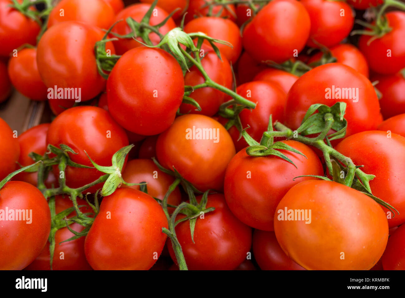 red tomatoes background. Group of tomatoes Stock Photo - Alamy
