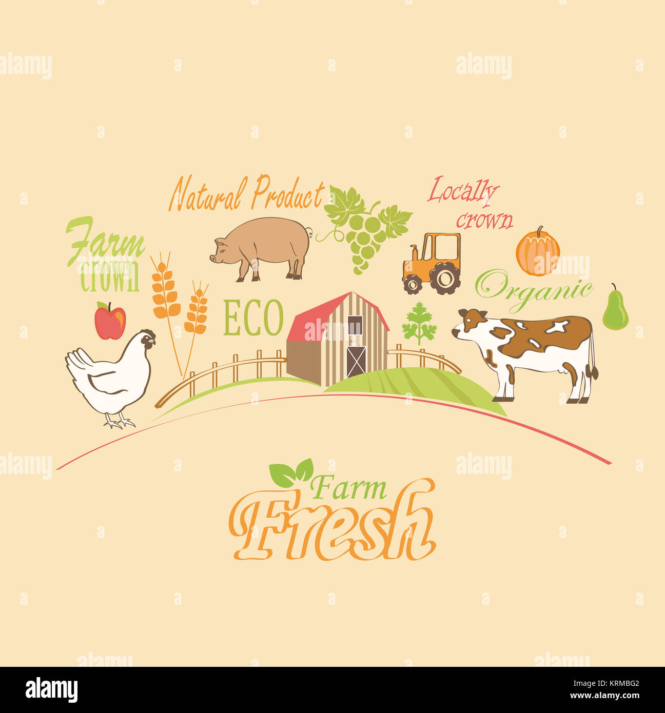 Organic and farm, vector concept Stock Photo - Alamy