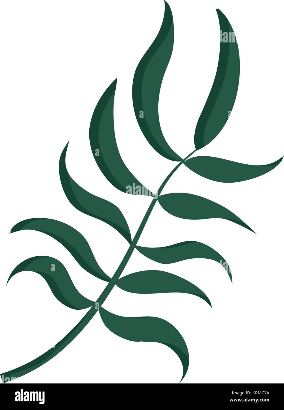compound leaf vector illustration Stock Vector Image & Art - Alamy