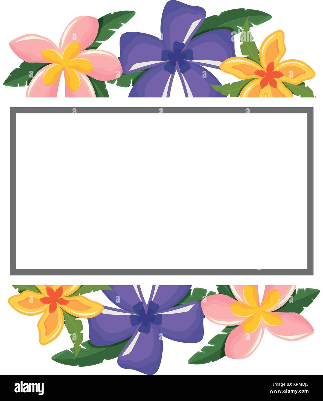flower frame vector illustration Stock Vector Image & Art - Alamy