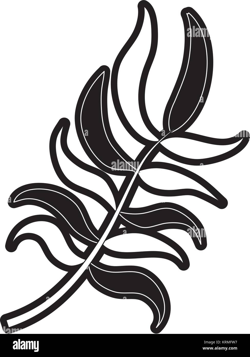 compound leaf vector illustration Stock Vector Image & Art - Alamy