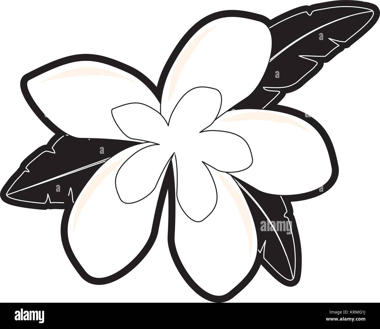 flower with leaves vector illustration Stock Vector Image & Art - Alamy