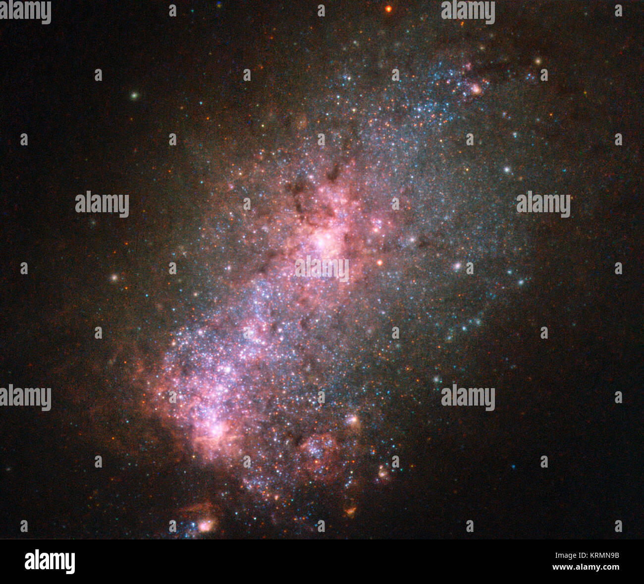 This NASA/ESA Hubble Space Telescope image reveals the vibrant core of the galaxy NGC 3125. Discovered by John Herschel in 1835, NGC 3125 is a great example of a starburst galaxy — a galaxy in which unusually high numbers of new stars are forming, springing to life within intensely hot clouds of gas. Located approximately 50 million light-years away in the constellation of Antlia (The Air Pump), NGC 3125 is similar to, but unfathomably brighter and more energetic than, one of the Magellanic Clouds. Spanning 15 000 light-years, the galaxy displays massive and violent bursts of star formation, a Stock Photo