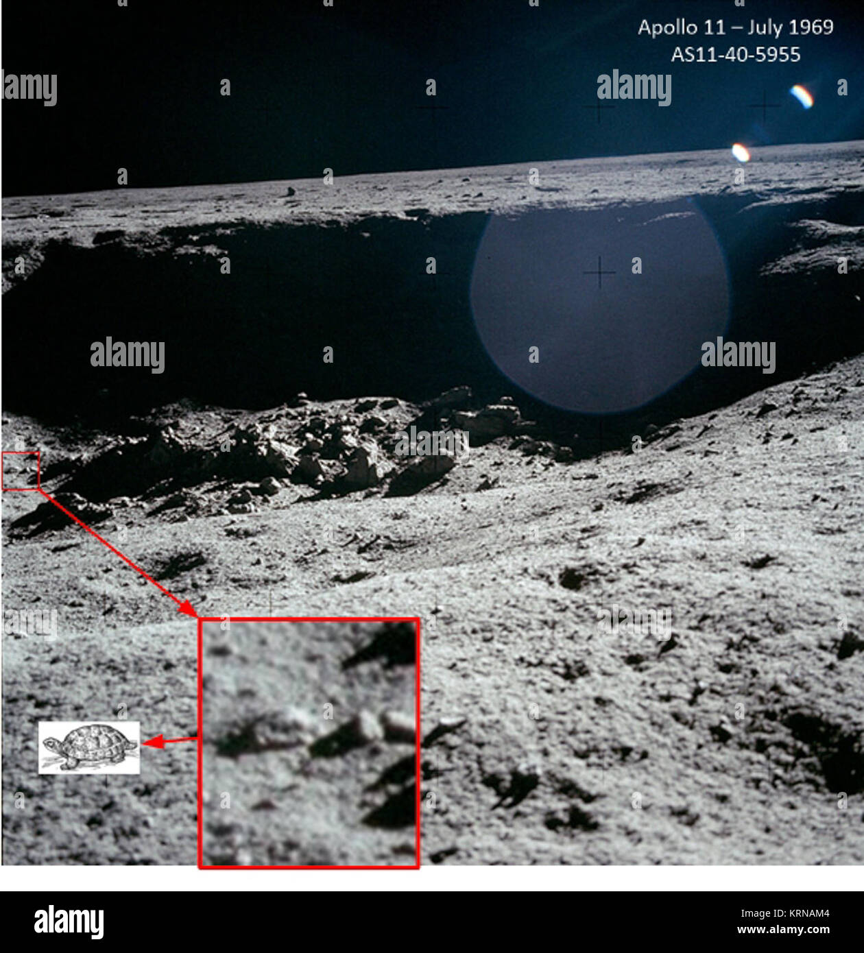 Life on the Moon Stock Photo - Alamy