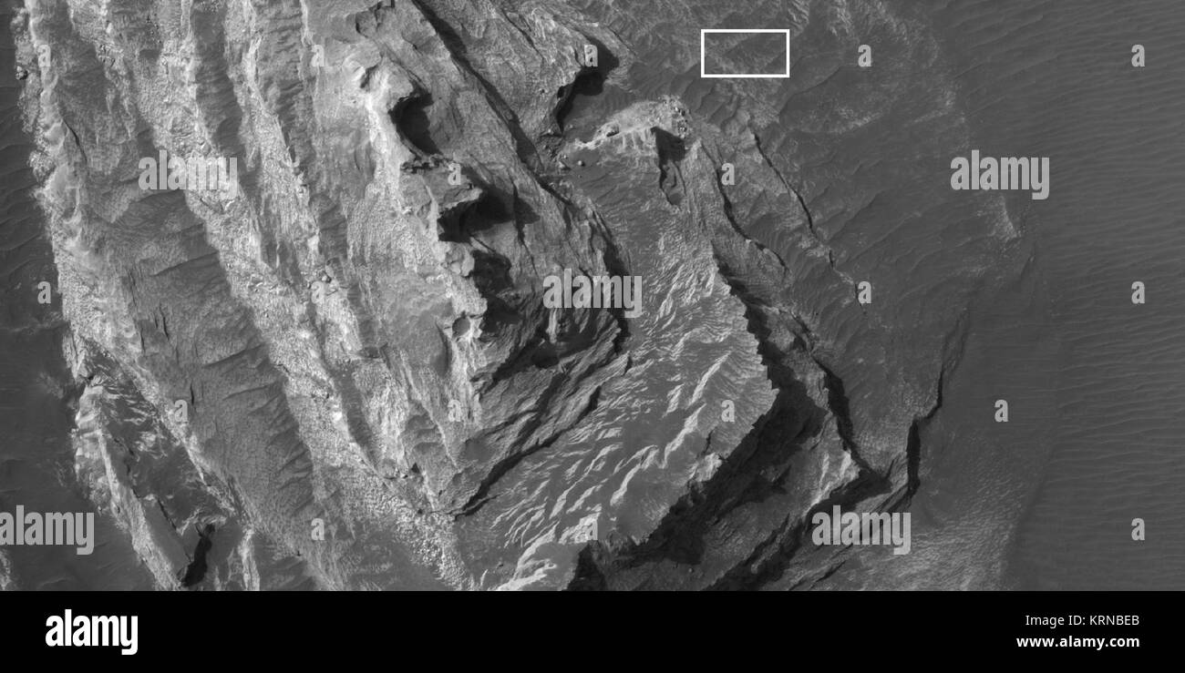 Science evolution Black and White Stock Photos & Images - Alamy