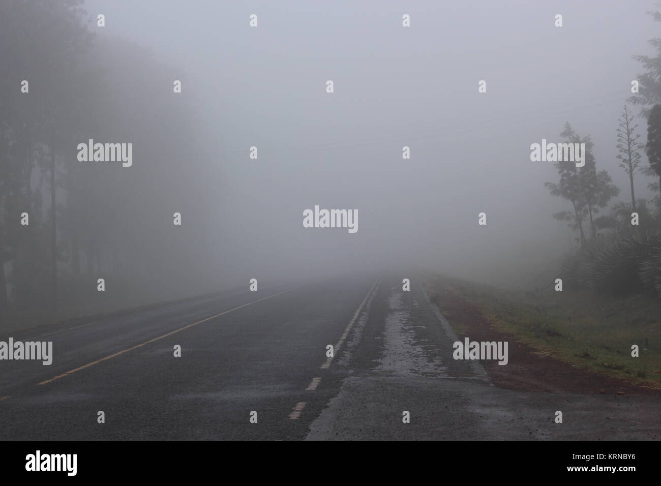 Misty road hi-res stock photography and images - Alamy