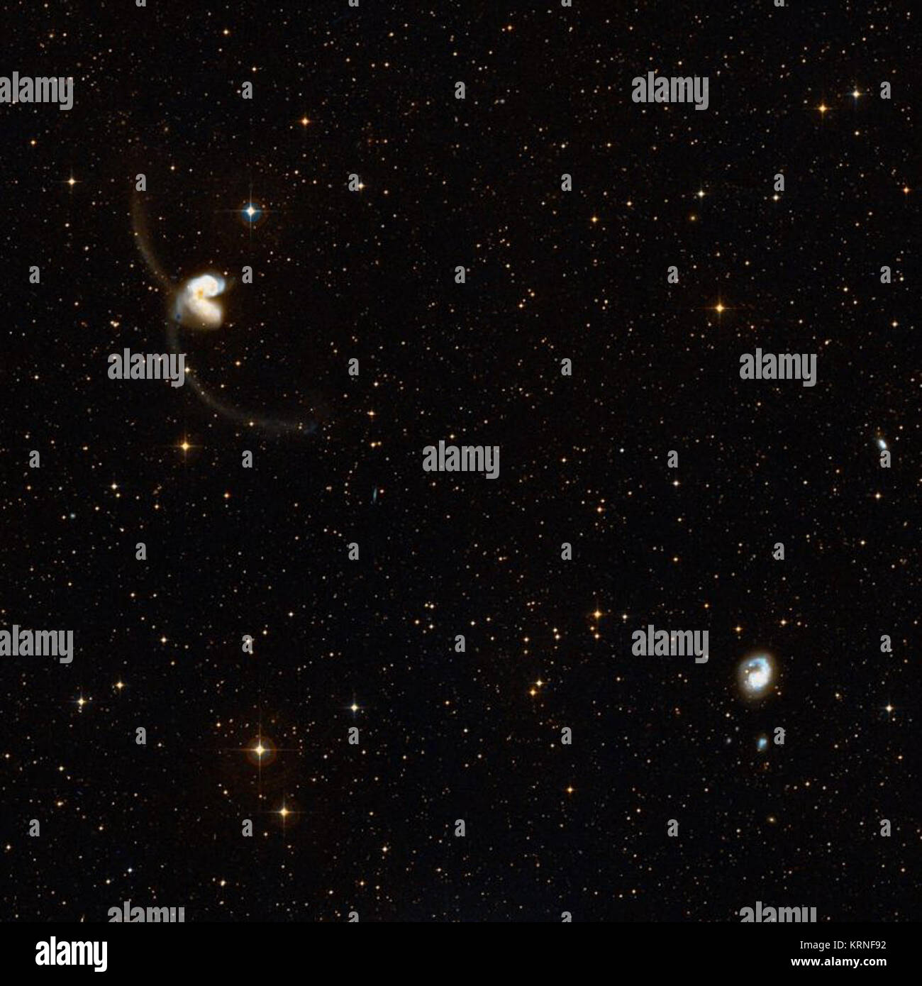 NGC 4038 group Stock Photo Alamy