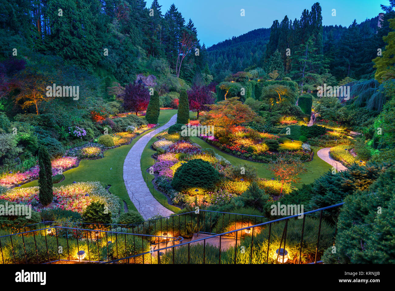 butchart gardens night Fasci Garden