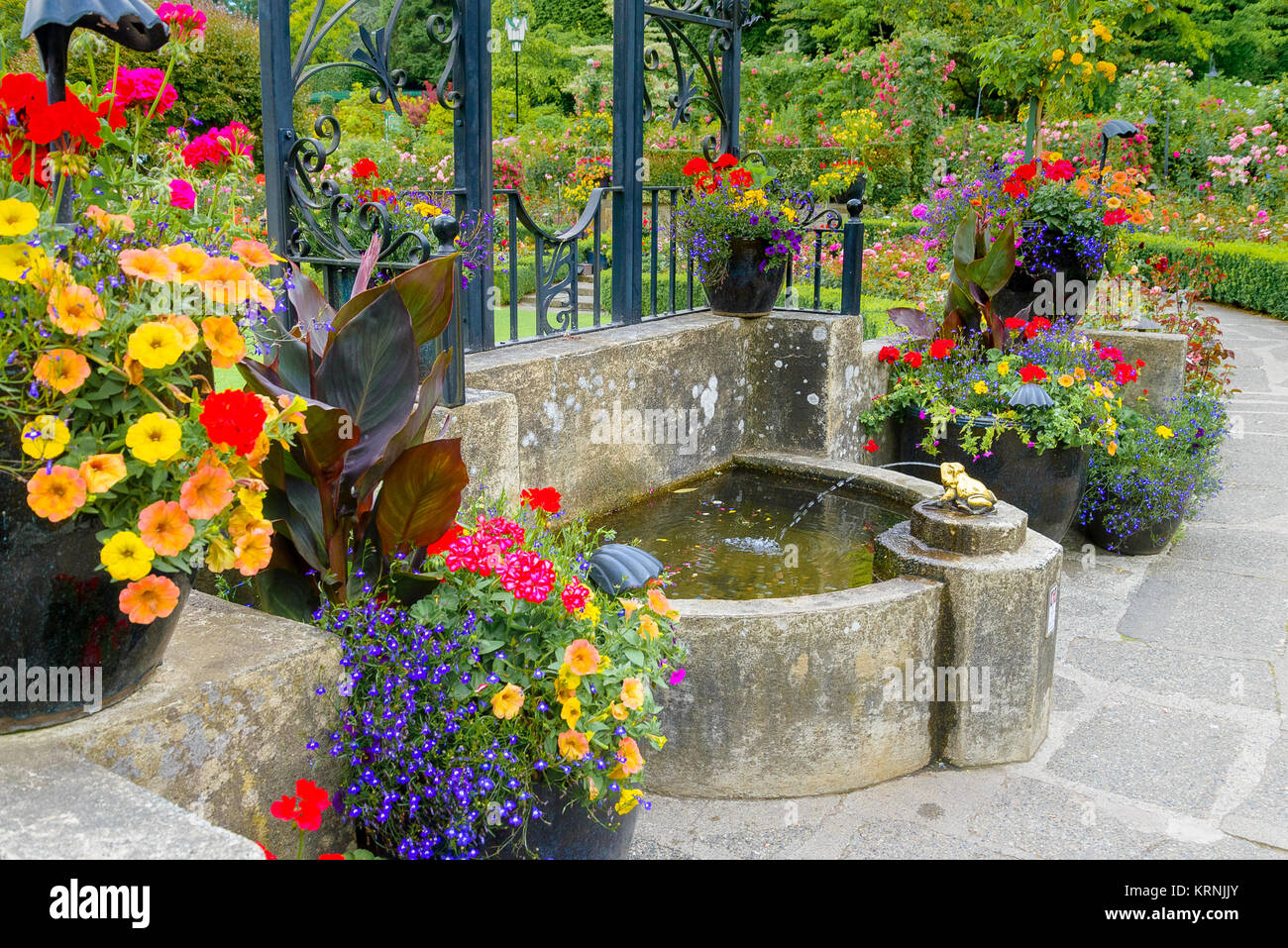 Water fountain, Butchart Gardens, Brentwood Bay, Greater Victoria, British Columbia, Canada Stock Photo