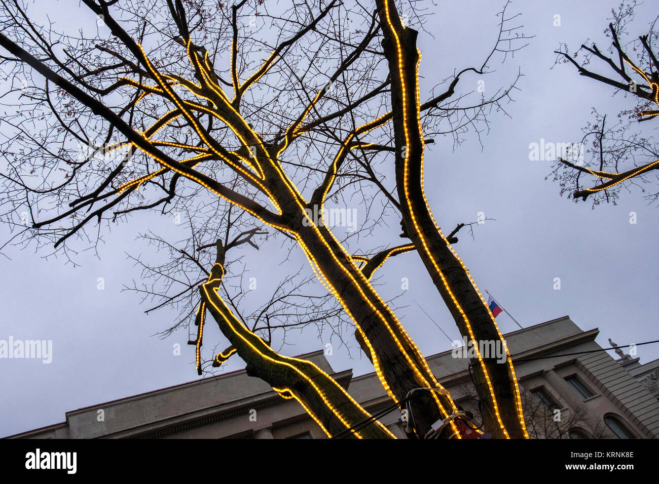 Berlin Mitte,Unter den Linden.Christmas lights on trees lining street