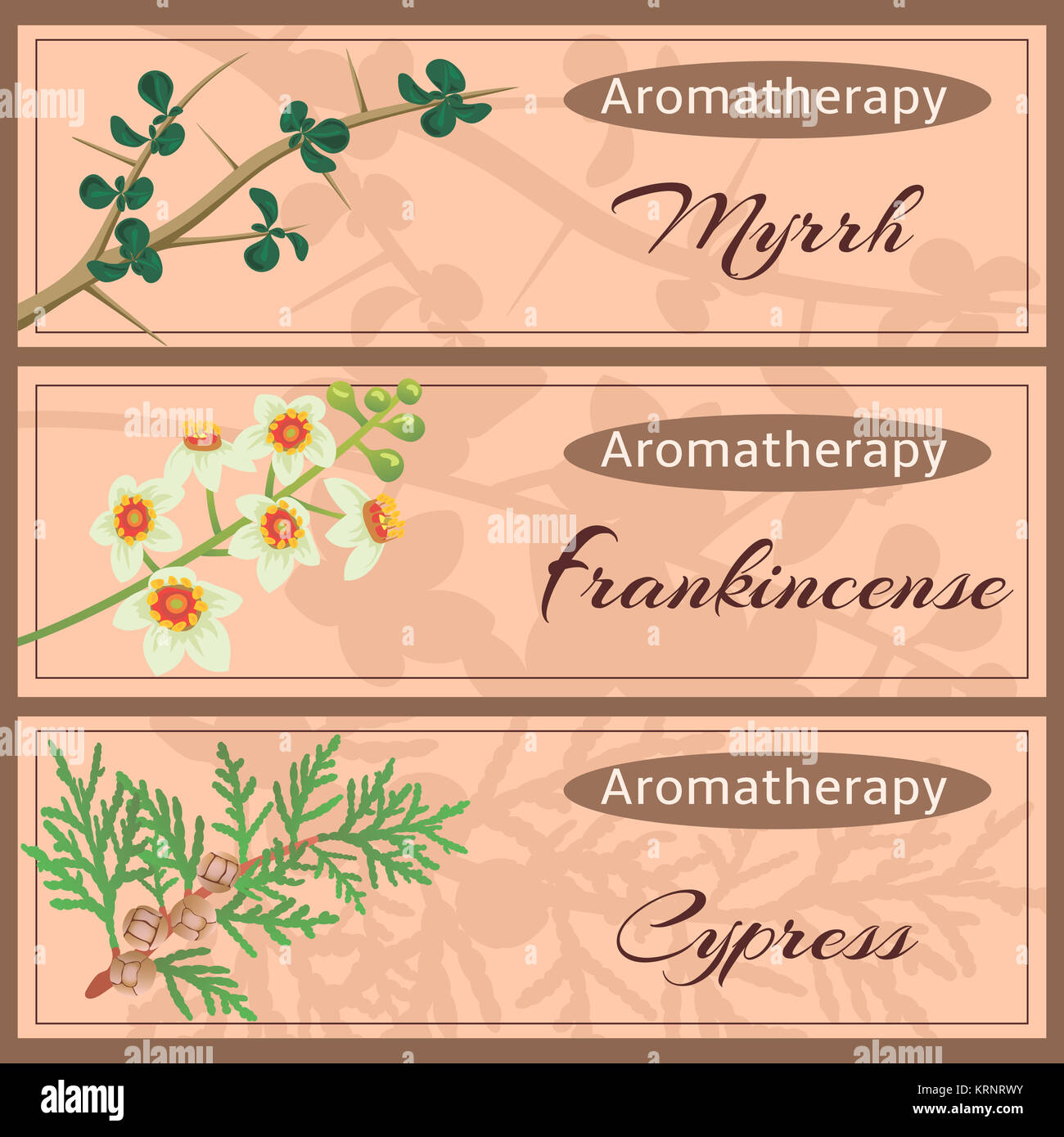 Aromatherapy set collection Stock Photo Alamy
