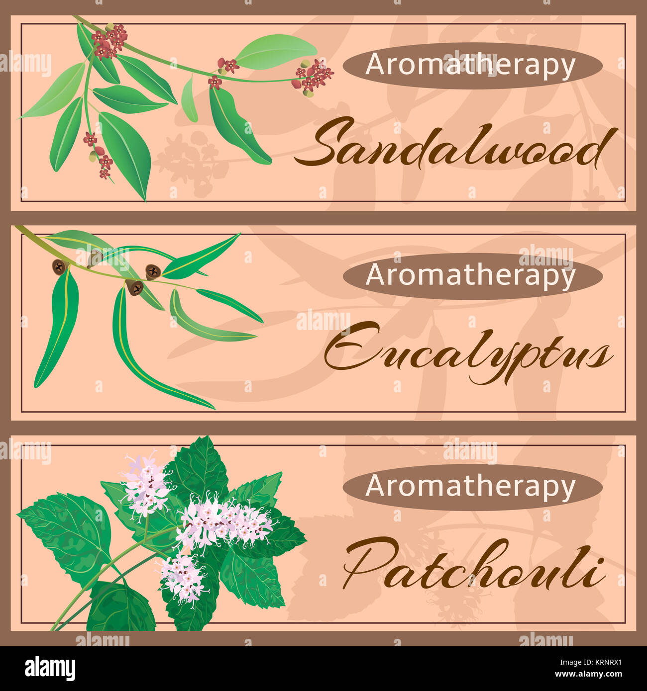 Aromatherapy set collection. Stock Photo