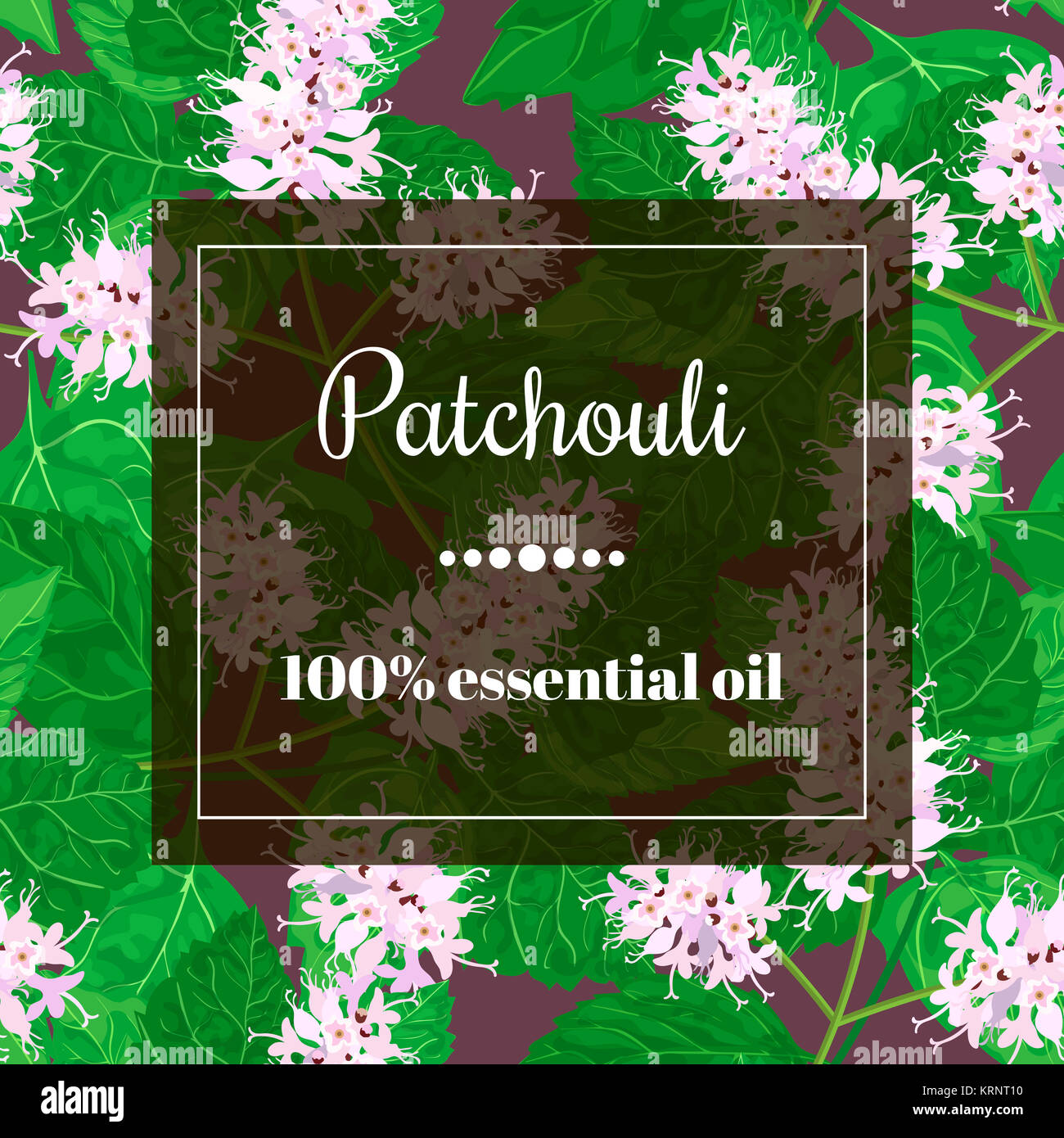 patchouli essential oil Stock Photo