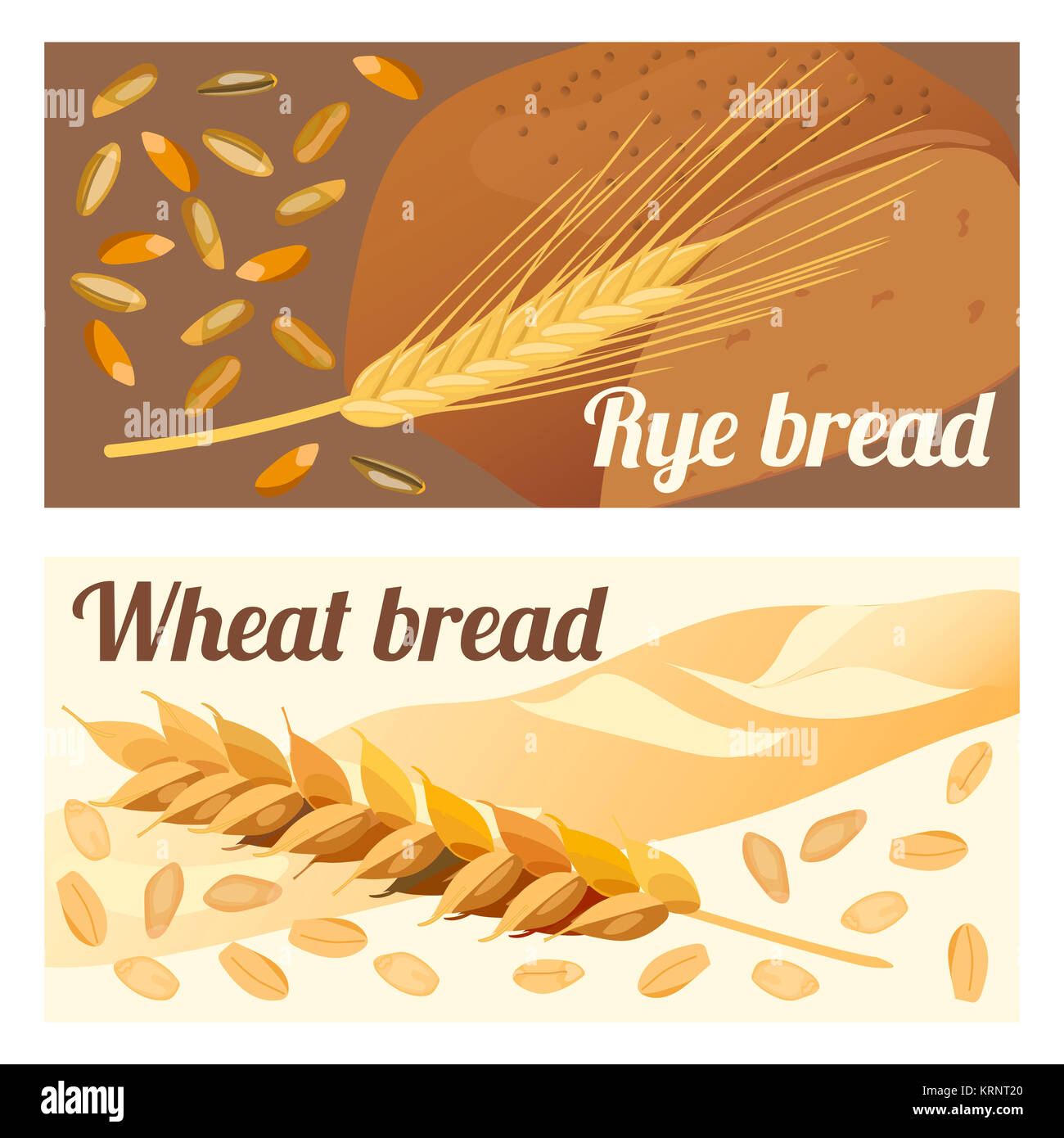 rye and wheat bread Stock Photo Alamy