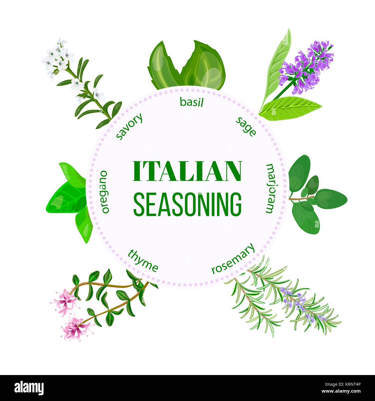 Italian seasoning. Stock Photo