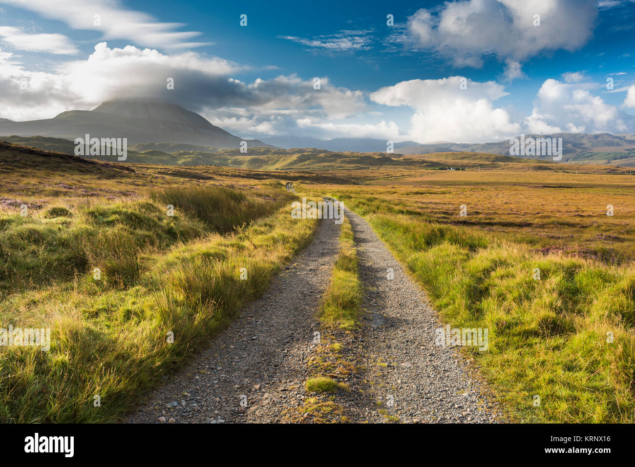 Looking towards Mount Errigal, one of Ireland's most iconic mountains, along a track in bogland near Gort an Choirce, County Donegal, Ireland Stock Photo