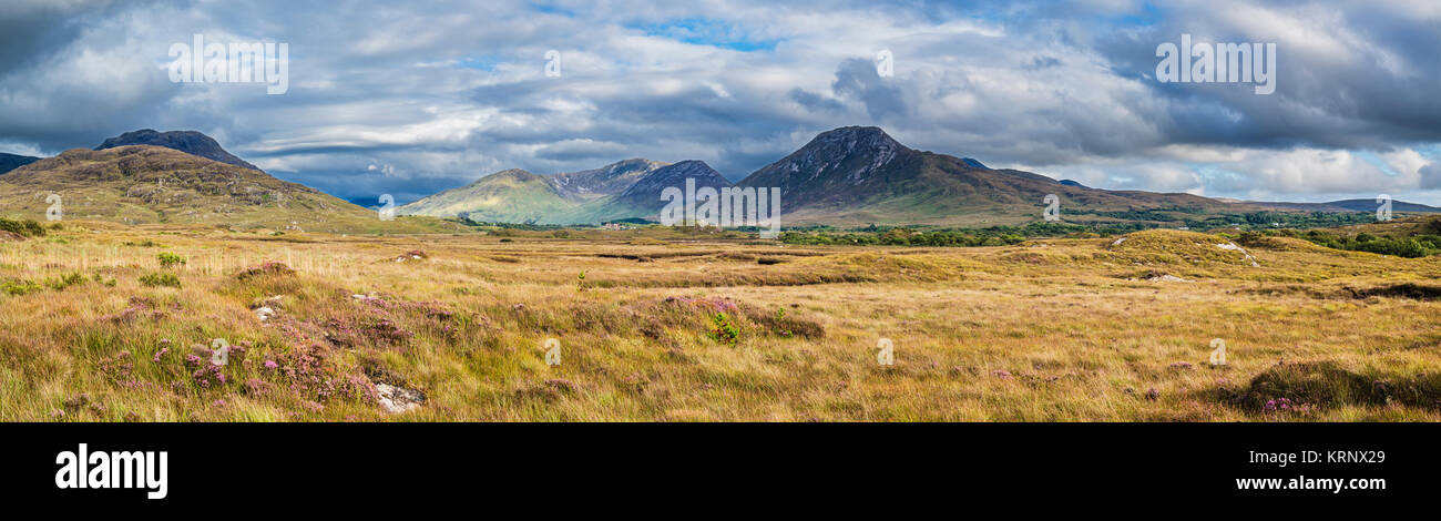 VIew across bog towards the Twelve Bens (Beanna Beola) mountain range of Connemara, from outside the village of Letterfrack, County Galway, Ireland Stock Photo