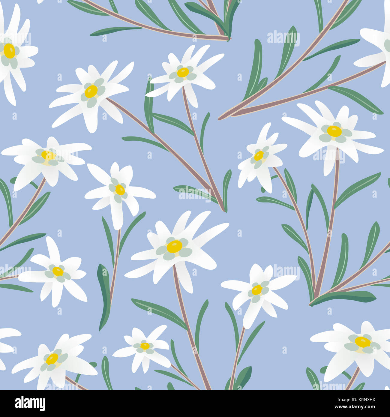 edelweiss seamless pattern Stock Photo - Alamy
