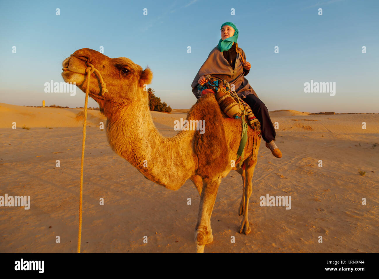 Woman in Bedouin clothes riding a camel in the Sahara desert, Tunisia