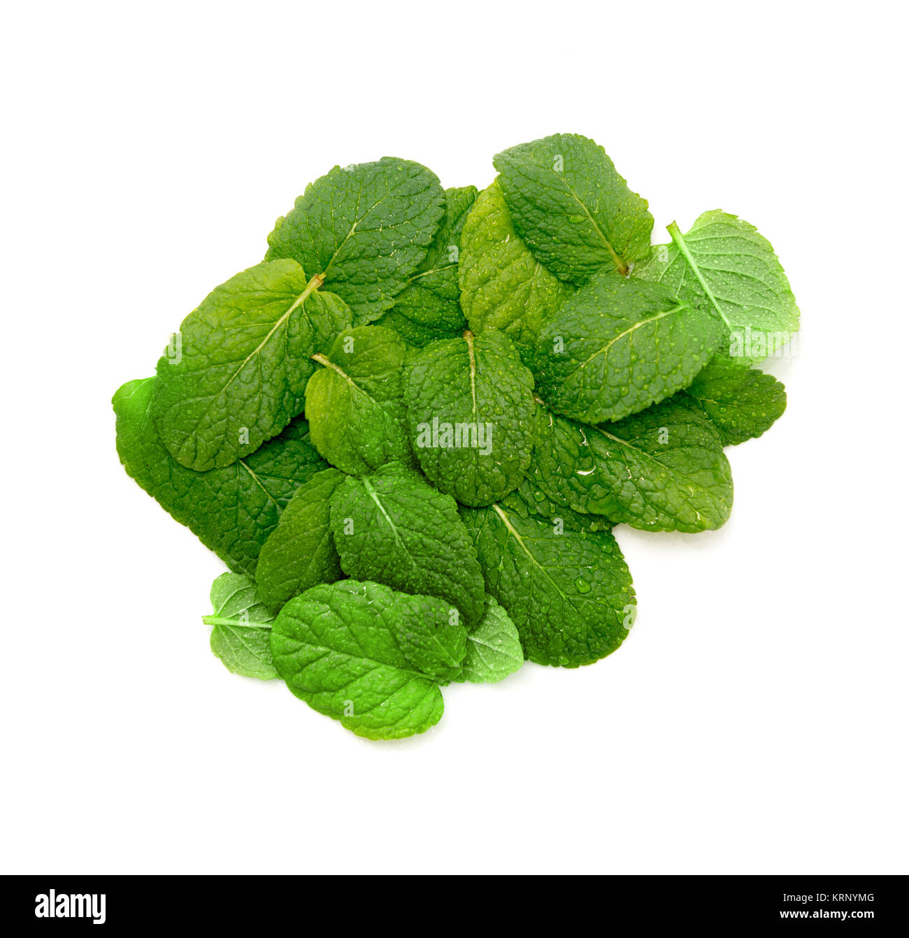 close up on fresh mint on white background Stock Photo