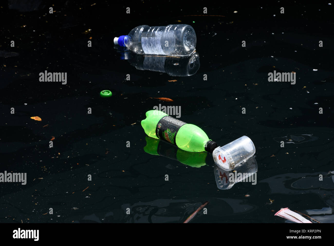 Plastic bottles floating on the water Stock Photo Alamy