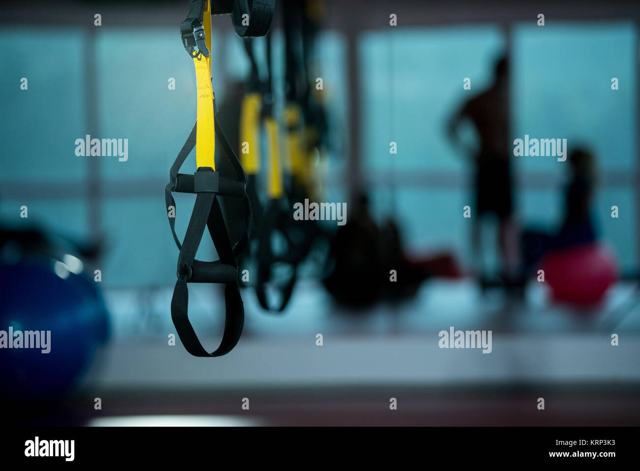 Trx fitness straps for working with own weight Stock Photo Alamy