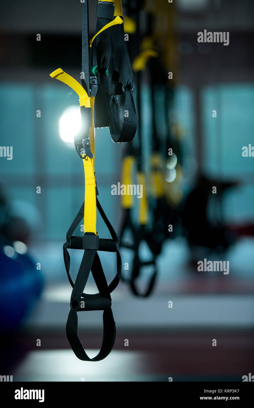 Trx fitness straps for working with own weight Stock Photo Alamy