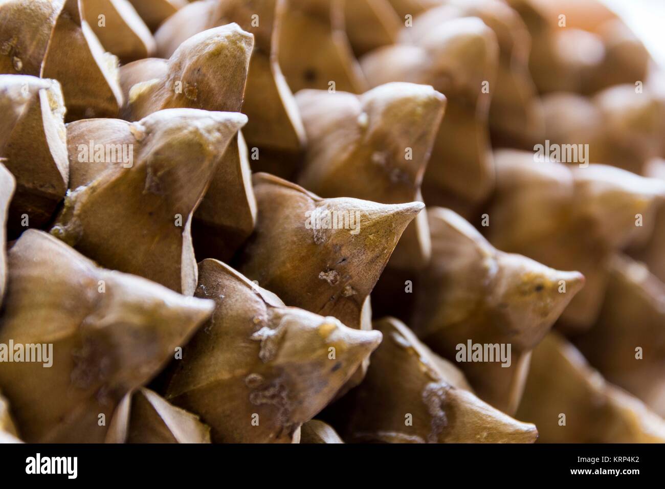 Sharp Long Cone Sharp cone hi-res stock photography and images - Alamy