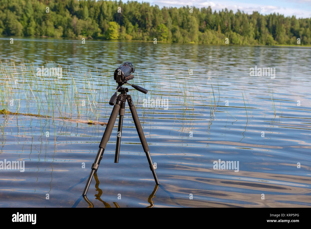 A tripod with a video camera stands in the water of a forest lake Stock ...