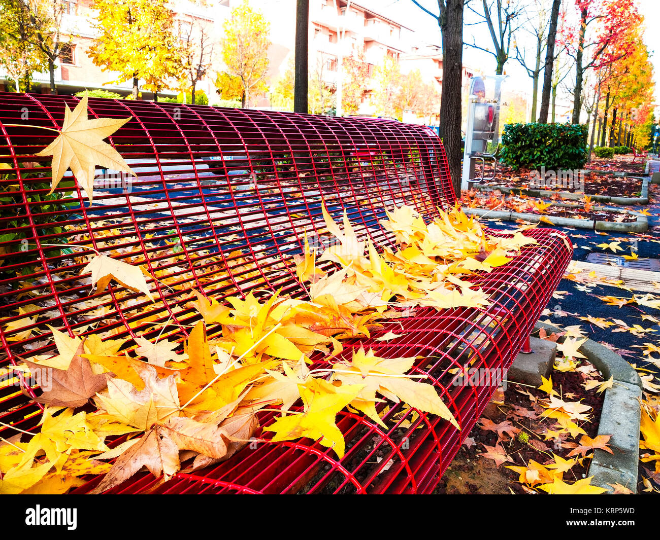 Autumn bench covered with leaves Stock Photo - Alamy